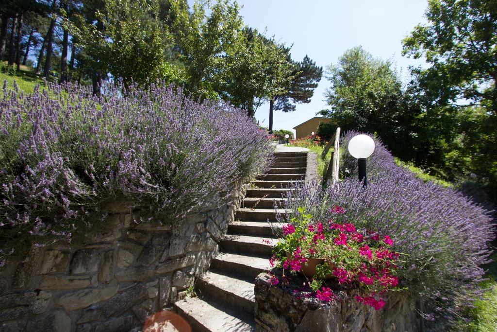 Antico Borgo I Cancelli Palazzuolo Sul Senio Exteriér fotografie